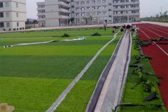 足球场使用的人造草坪为什么需要填充？